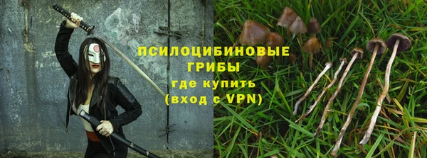 ГАЛЛЮЦИНОГЕННЫЕ ГРИБЫ Дмитровск