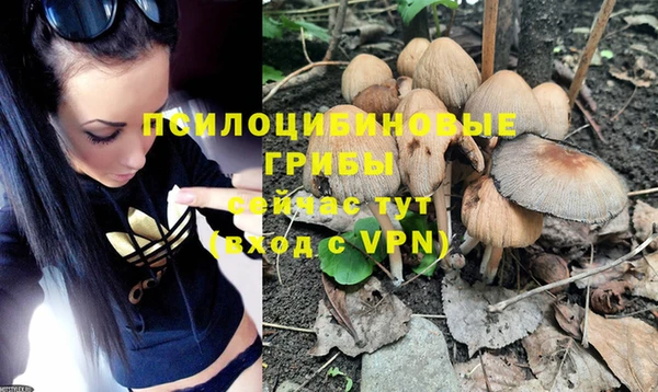мяу мяу кристалл Горнозаводск