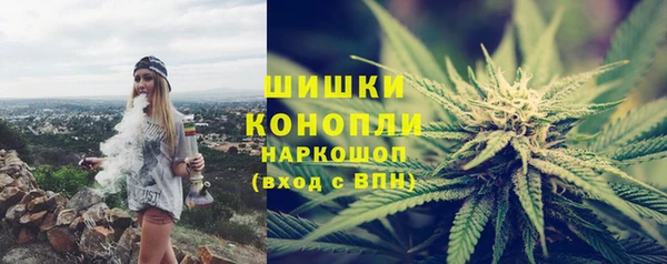дживик Дмитров